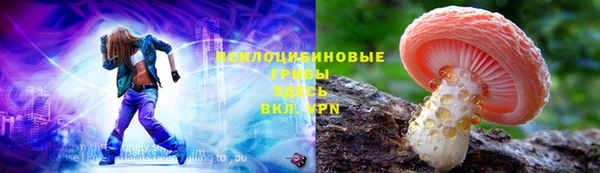 ГАЛЛЮЦИНОГЕННЫЕ ГРИБЫ Осташков