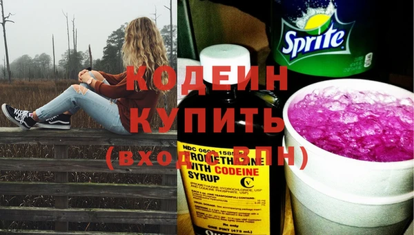 ГАЛЛЮЦИНОГЕННЫЕ ГРИБЫ Осташков