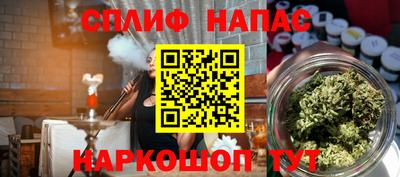 индика Дубна