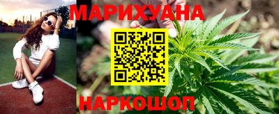 индика Дубна