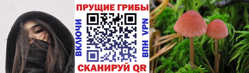 ссылка на мегу зеркало  Иваново  Псилоцибиновые грибы GOLDEN TEACHER  закладки 