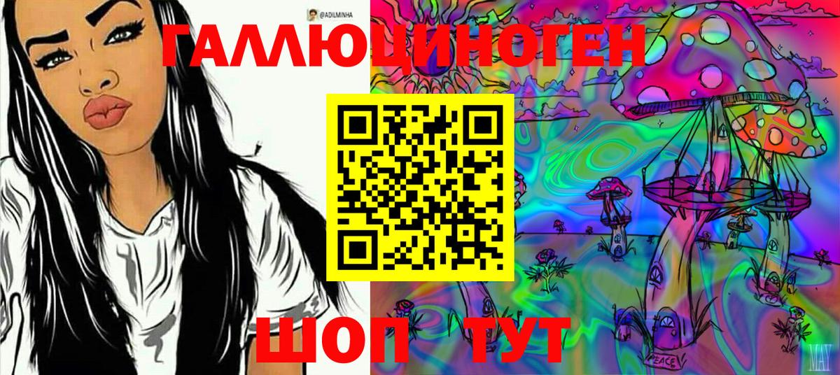 Иваново  Псилоцибиновые грибы Psilocybine cubensis  Вход с VPN 