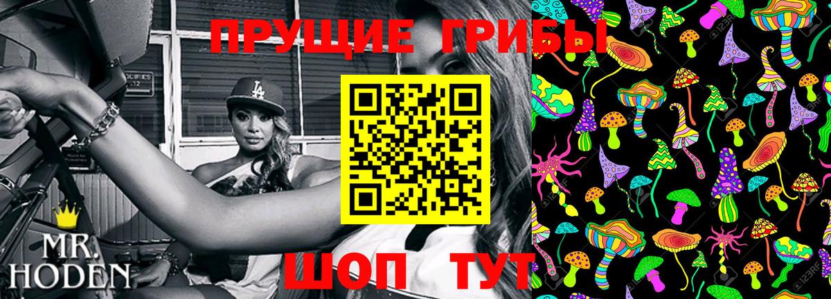 Псилоцибиновые грибы GOLDEN TEACHER  Иваново  Галлюциногенные грибы мицелий 