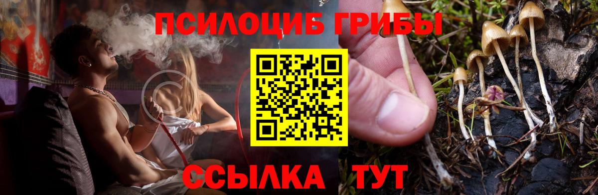 Галлюциногенные грибы Cubensis Иваново